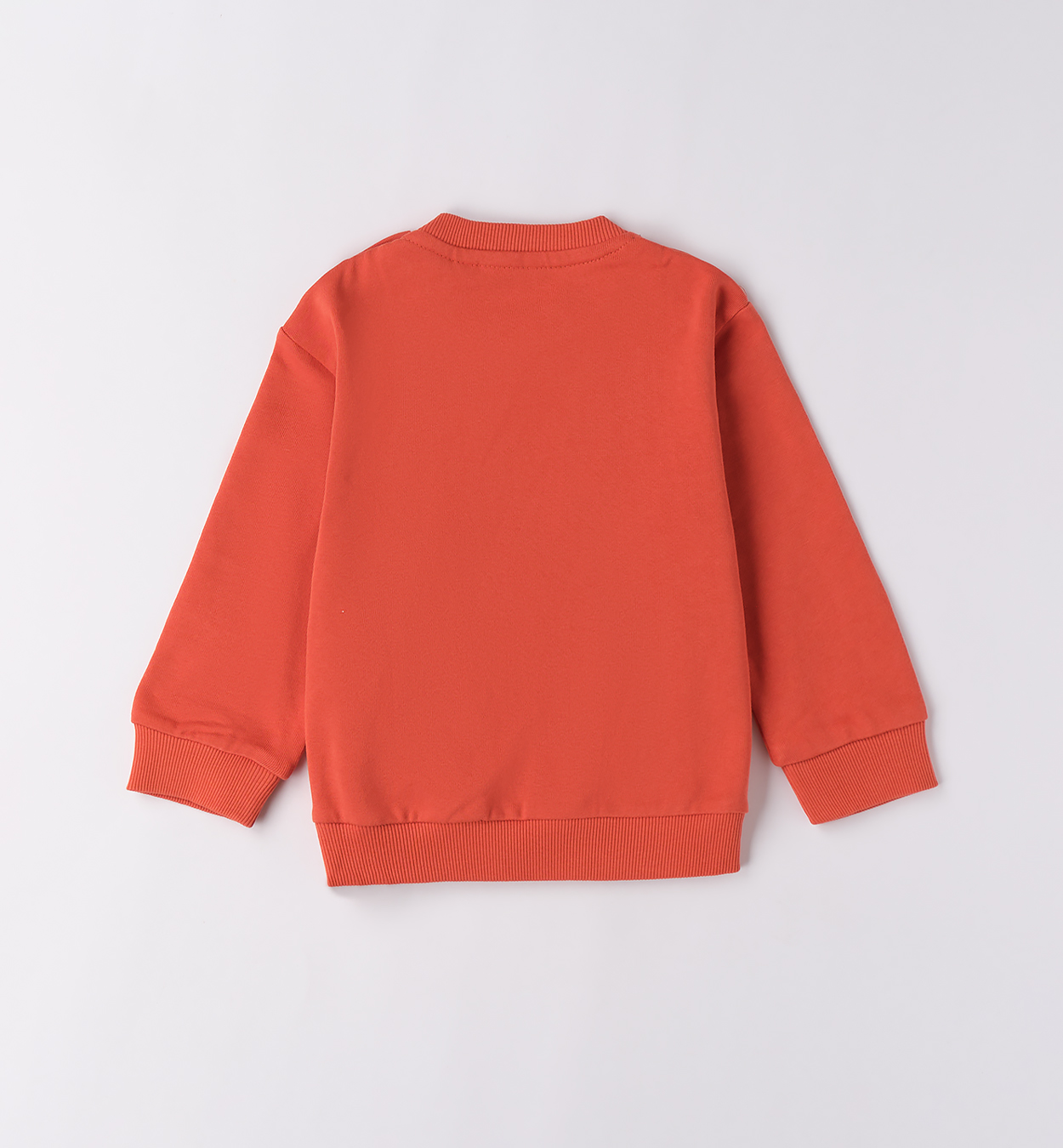 Толстовка Sarabanda для мальчиков